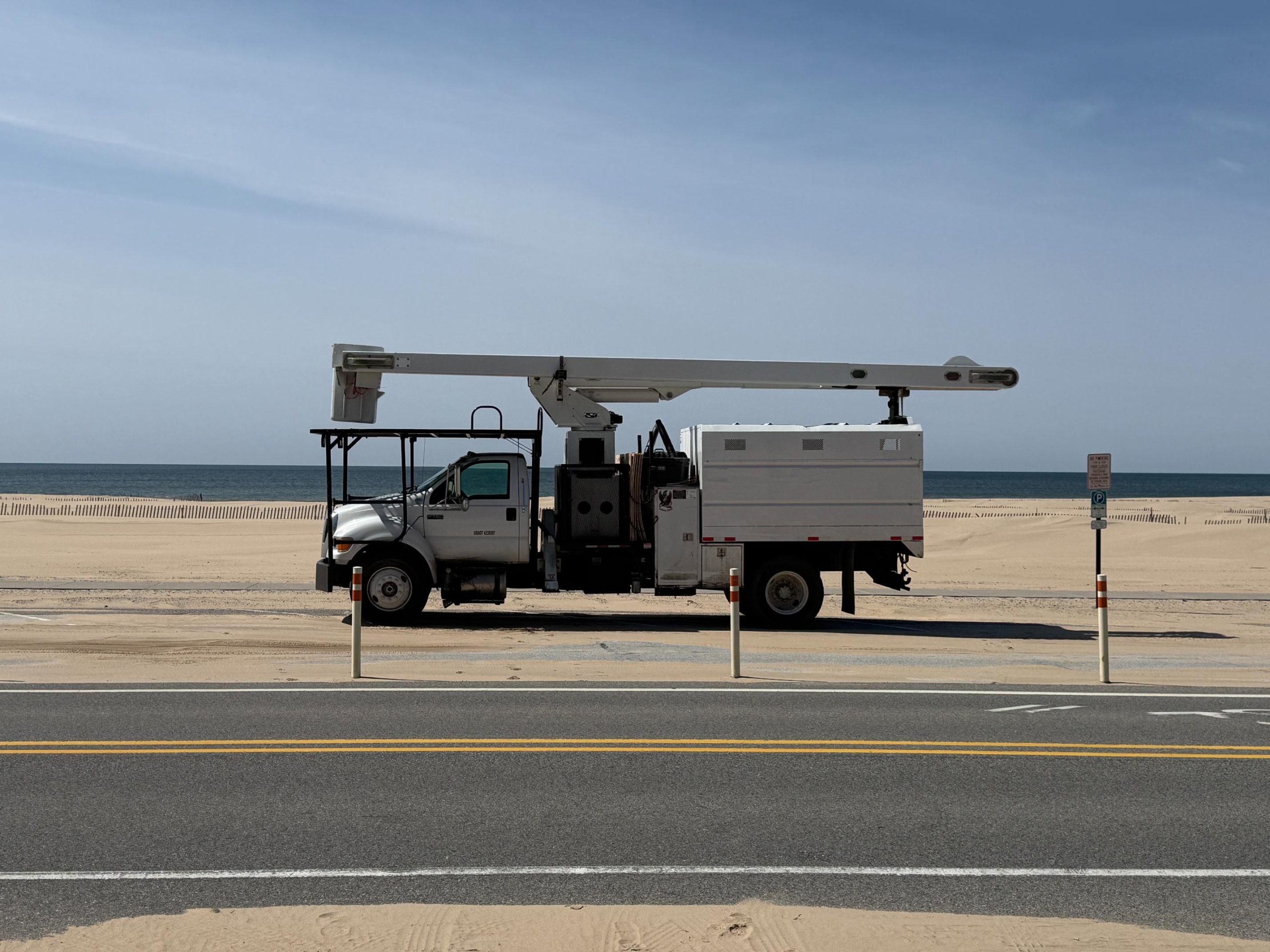 Absolute Tree Service (3)