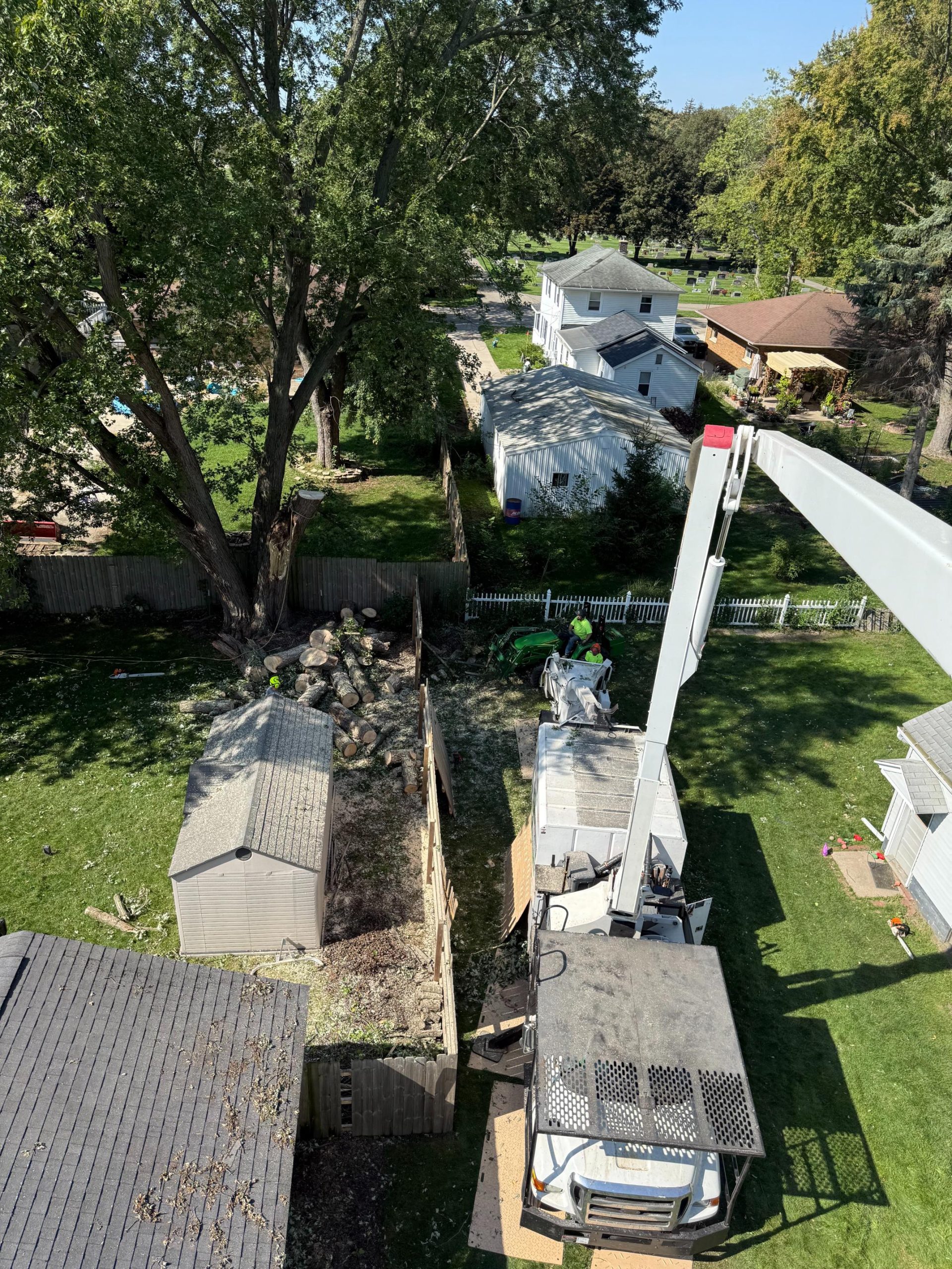 Absolute Tree Service (4)