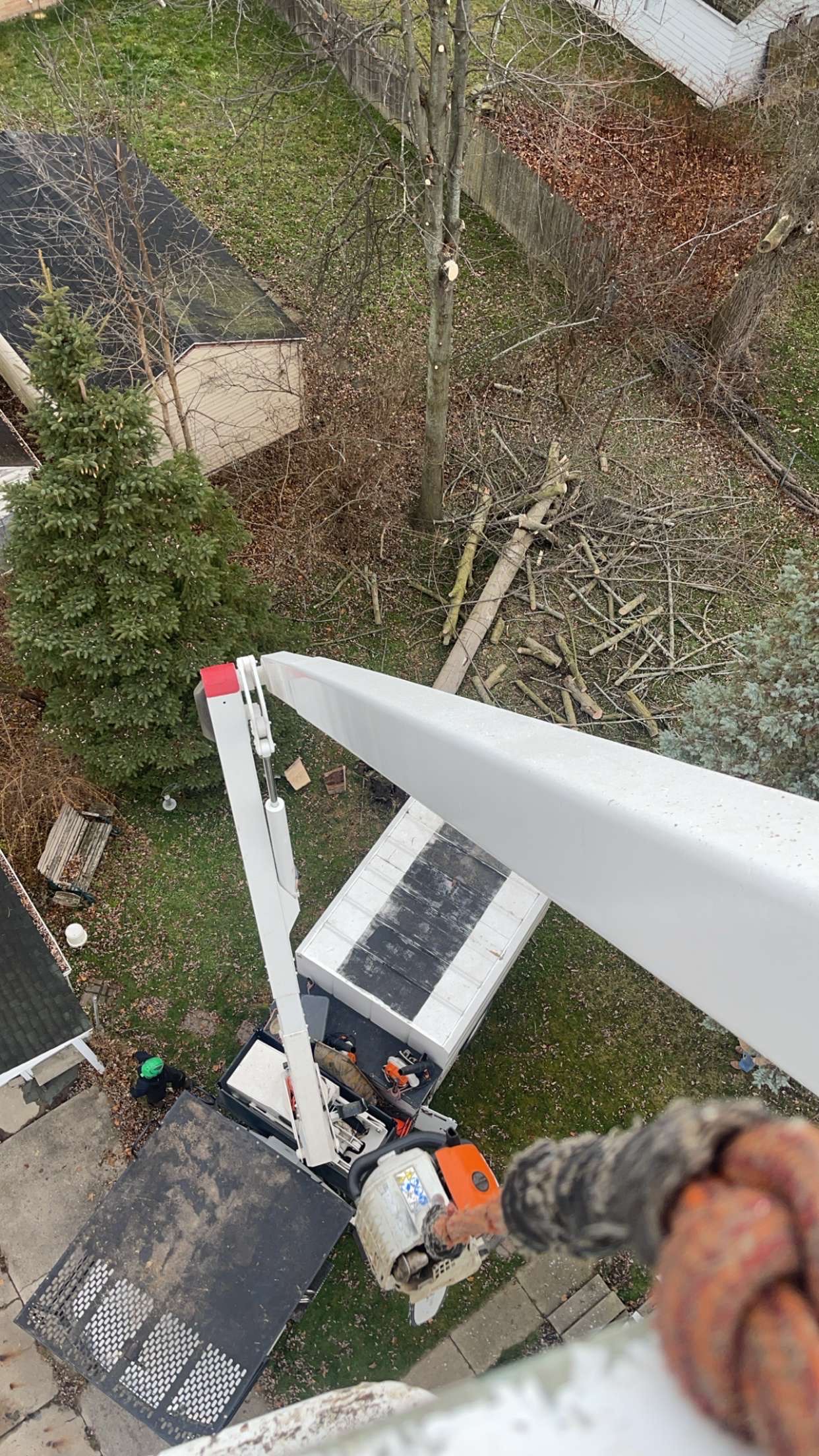 Absolute Tree Service (5)